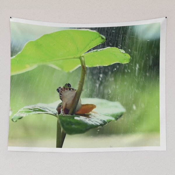 Item preview, Nice Frogs pets animals sweet cute raining designed and sold by Coolstuff4you71.