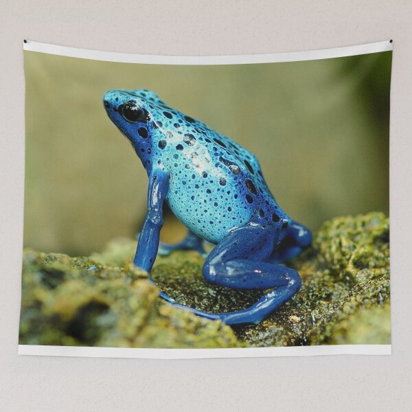 Item preview, Nice Frogs pets animals sweet cute blue designed and sold by Coolstuff4you71.