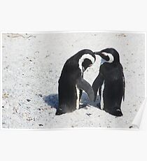 Penguin Love Poster
