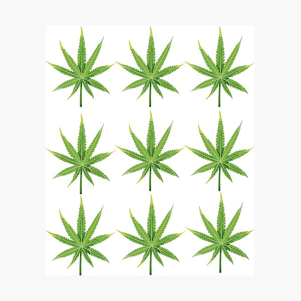 Item preview, Cannabis lover designed and sold by ALINNAN789.