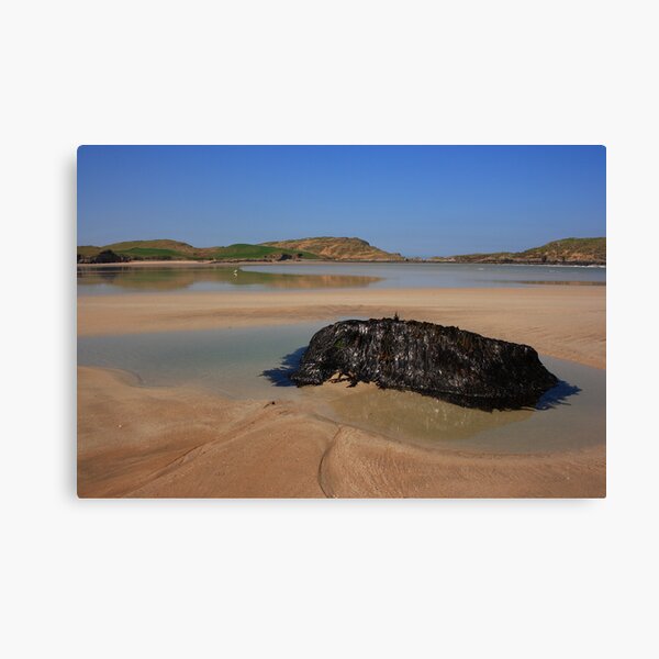 Ards Forest Park Beach Canvas Print