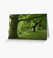 Trees Greeting Card