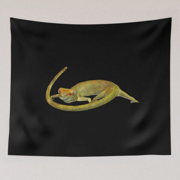 Item preview, Gecko, lizard, reptile, tropics designed and sold by MIRO3D.