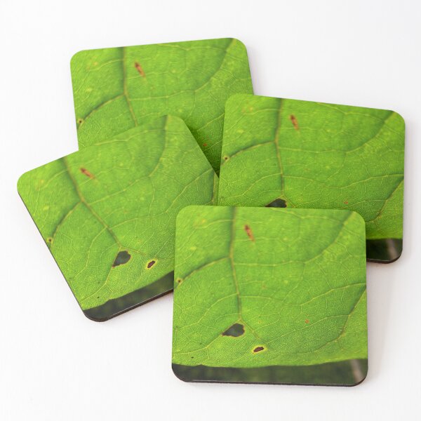 Item preview, Detailed Leaf designed and sold by cmsmith2364.