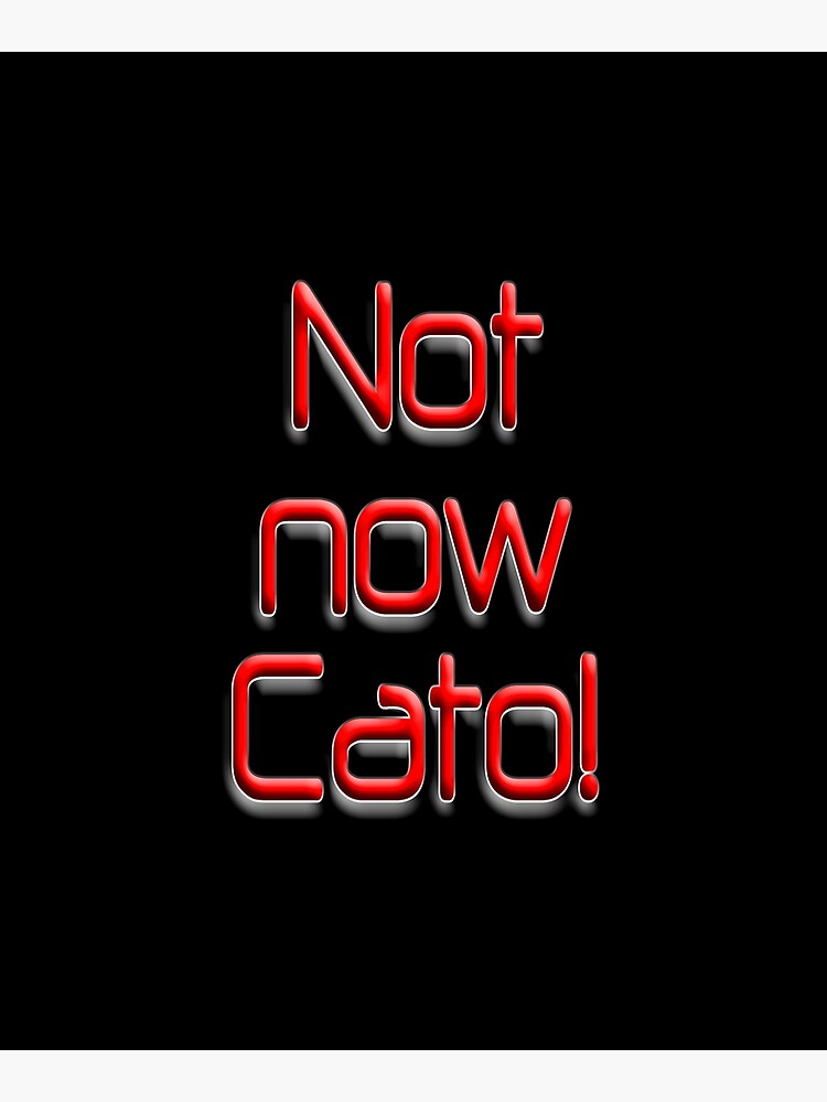 Not now Cato! Cato Fong, Inspector Clouseau, Film, Burt Kwouk, Chinese manservant, Pink Panther. by TOMSREDBUBBLE