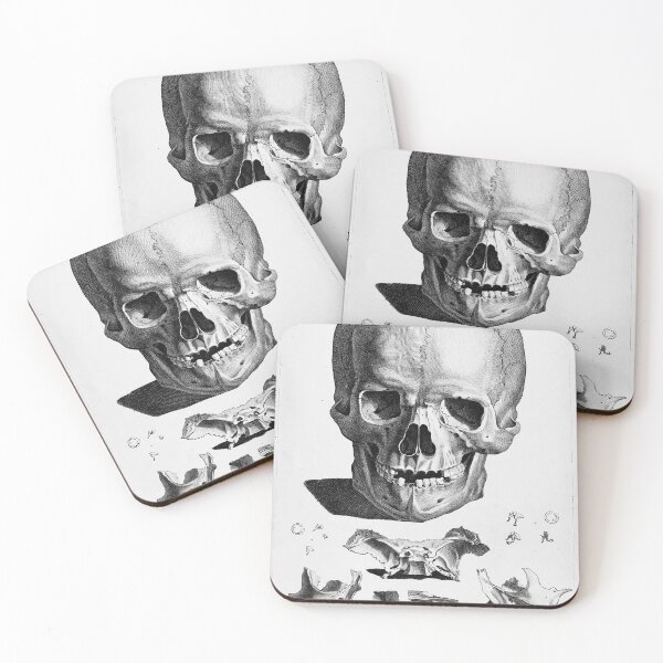 Item preview, Skull and jawbone fragments Vintage Etching designed and sold by Gin  Neko.
