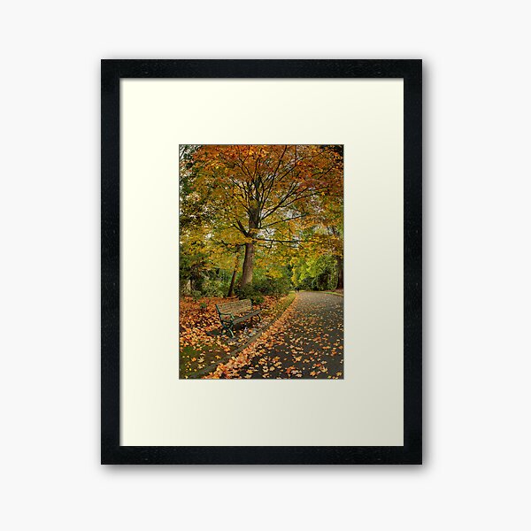 A walk in autumn Framed Art Print