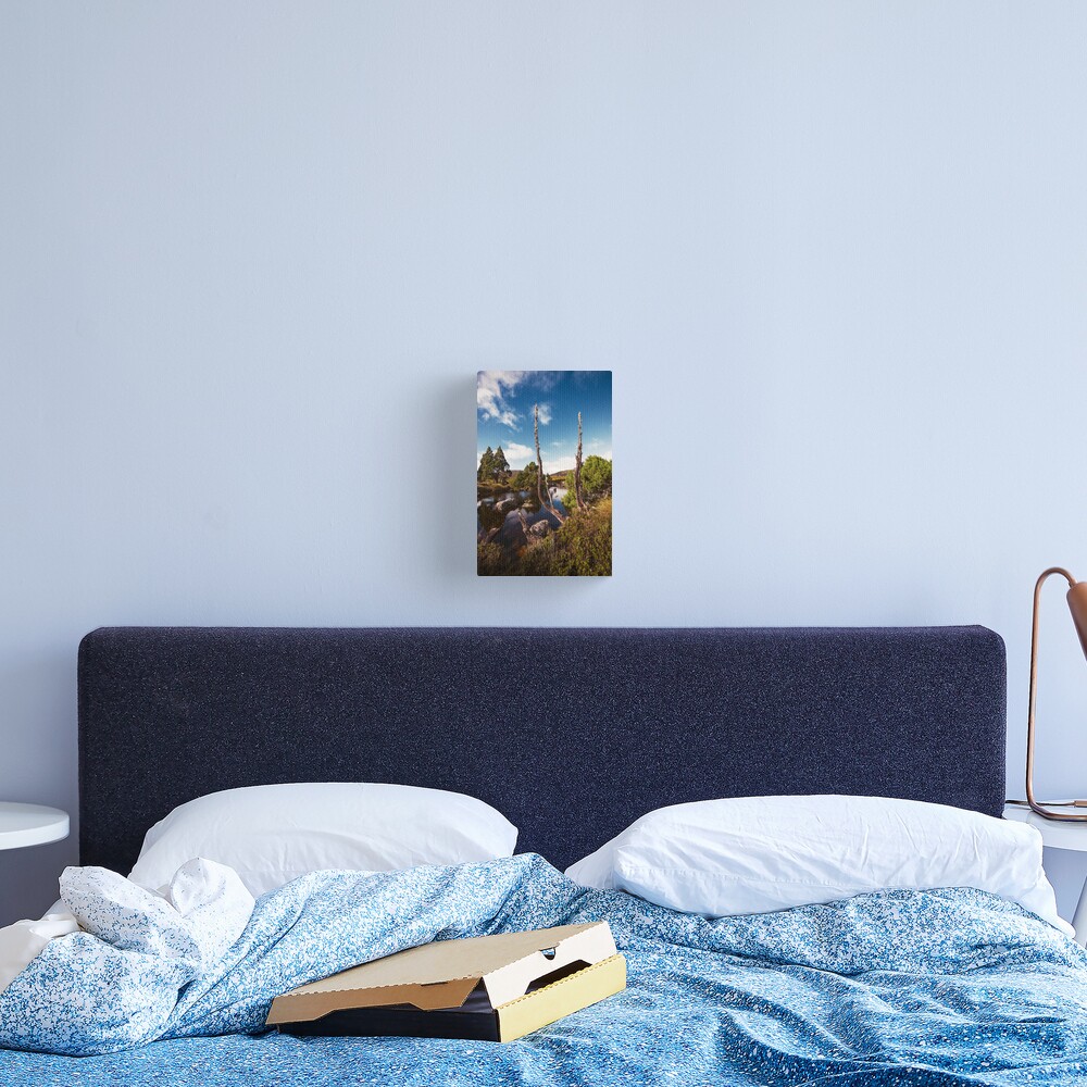 Tarn it Canvas Print