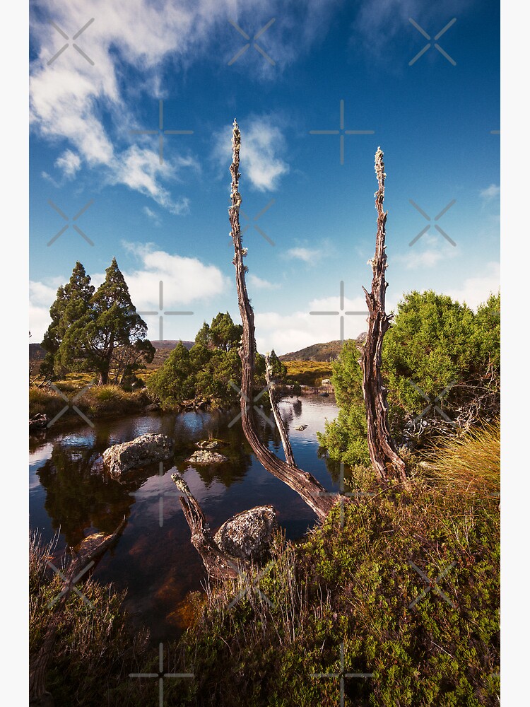 Tarn it by MelBrackstone