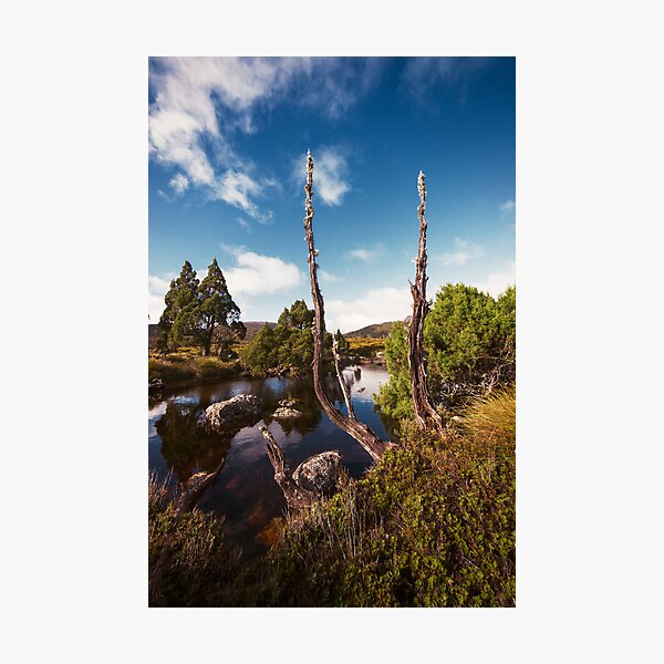 Tarn it Photographic Print