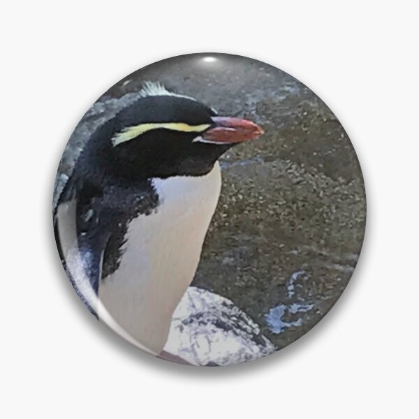 Item preview, Snares penguin, New Zealand designed and sold by HazelWright.