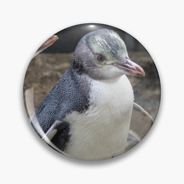 Item preview, Yellow-eyed penguins designed and sold by HazelWright.