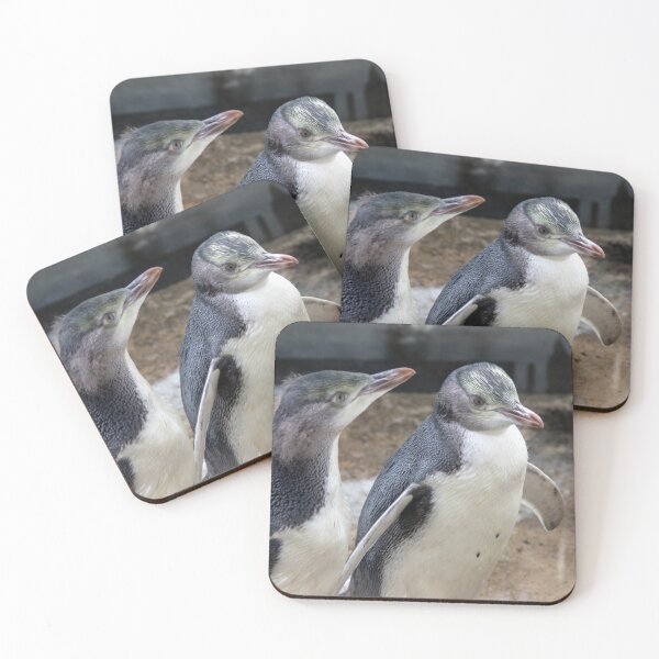 Item preview, Yellow-eyed penguins designed and sold by HazelWright.