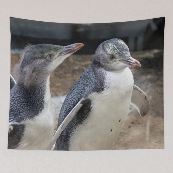 Item preview, Yellow-eyed penguins designed and sold by HazelWright.