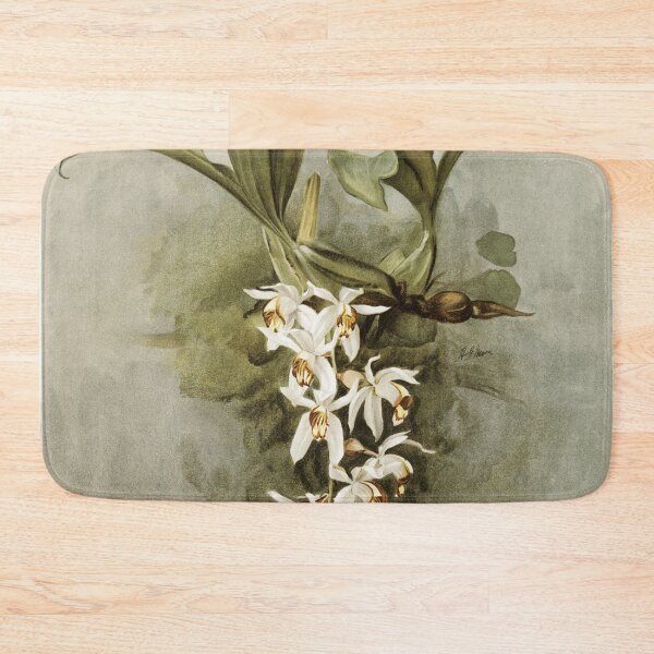 Item preview, Reichenbachia: Orchids Illustrated and Described designed and sold by EsotericBotanic.