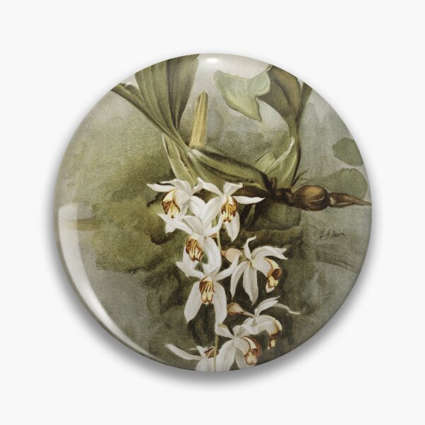 Item preview, Reichenbachia: Orchids Illustrated and Described designed and sold by EsotericBotanic.