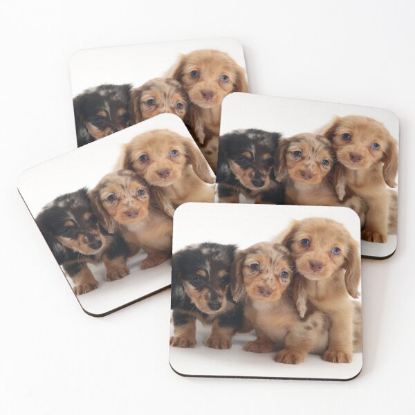 Item preview, Dachshund Puppies designed and sold by ScienceSource.