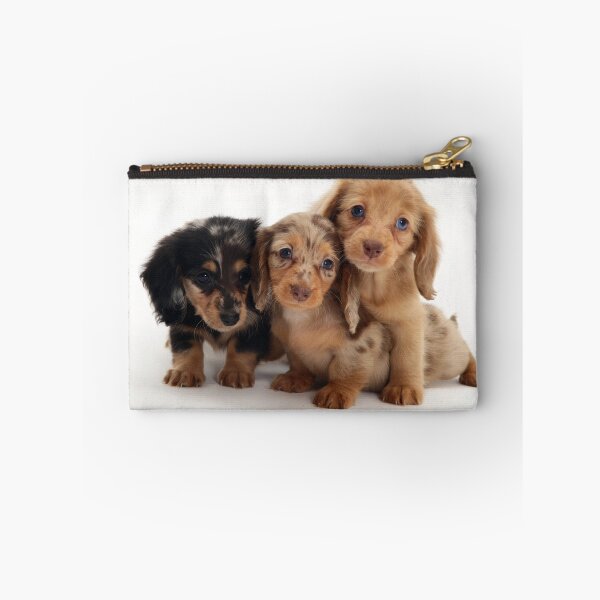 Item preview, Dachshund Puppies designed and sold by ScienceSource.