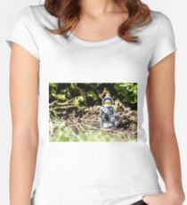 Sir Gleamalot Women's Fitted Scoop T-Shirt
