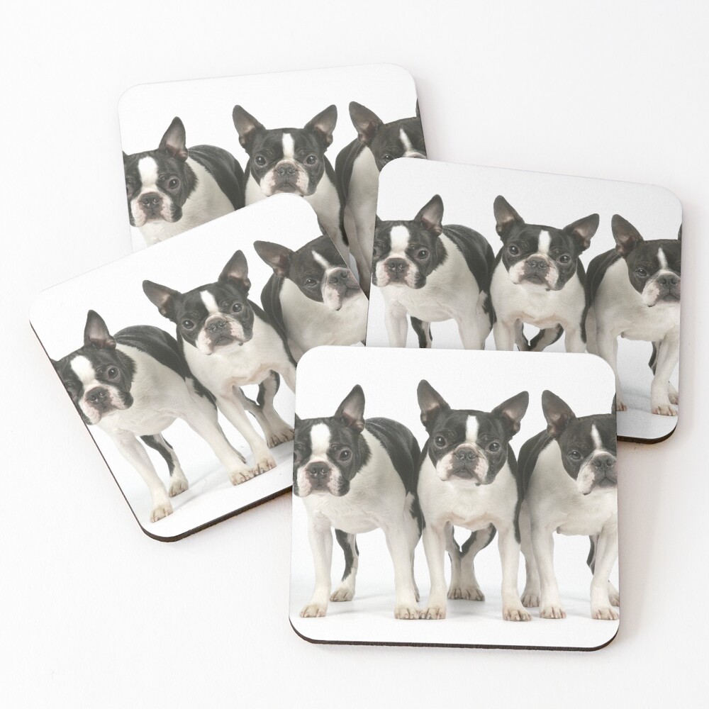Item preview, Coasters (Set of 4) designed and sold by ScienceSource.