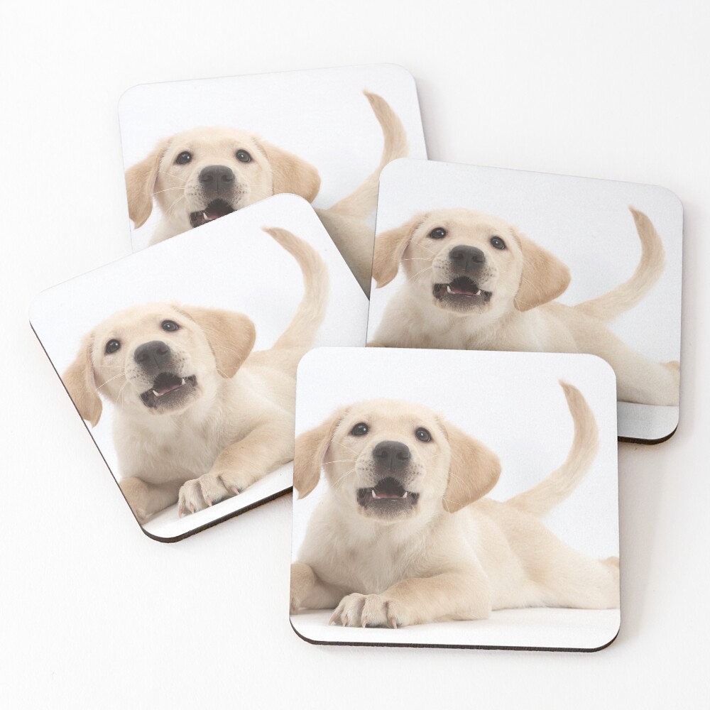 Item preview, Coasters (Set of 4) designed and sold by ScienceSource.