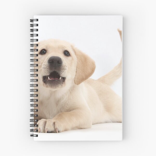 Item preview, Cachorro Labrador Retriever Amarillo designed and sold by ScienceSource.