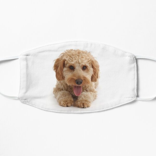 Cockapoo Dog Mask