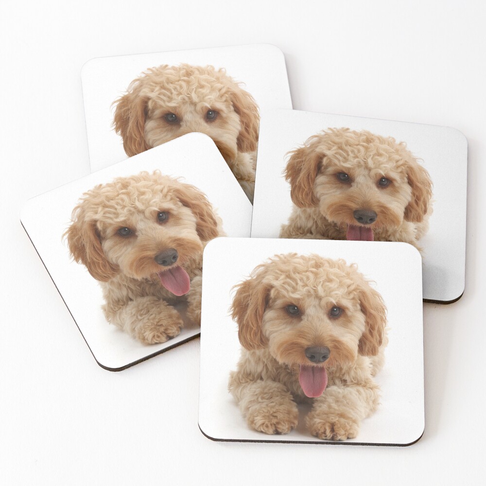 Item preview, Coasters (Set of 4) designed and sold by ScienceSource.