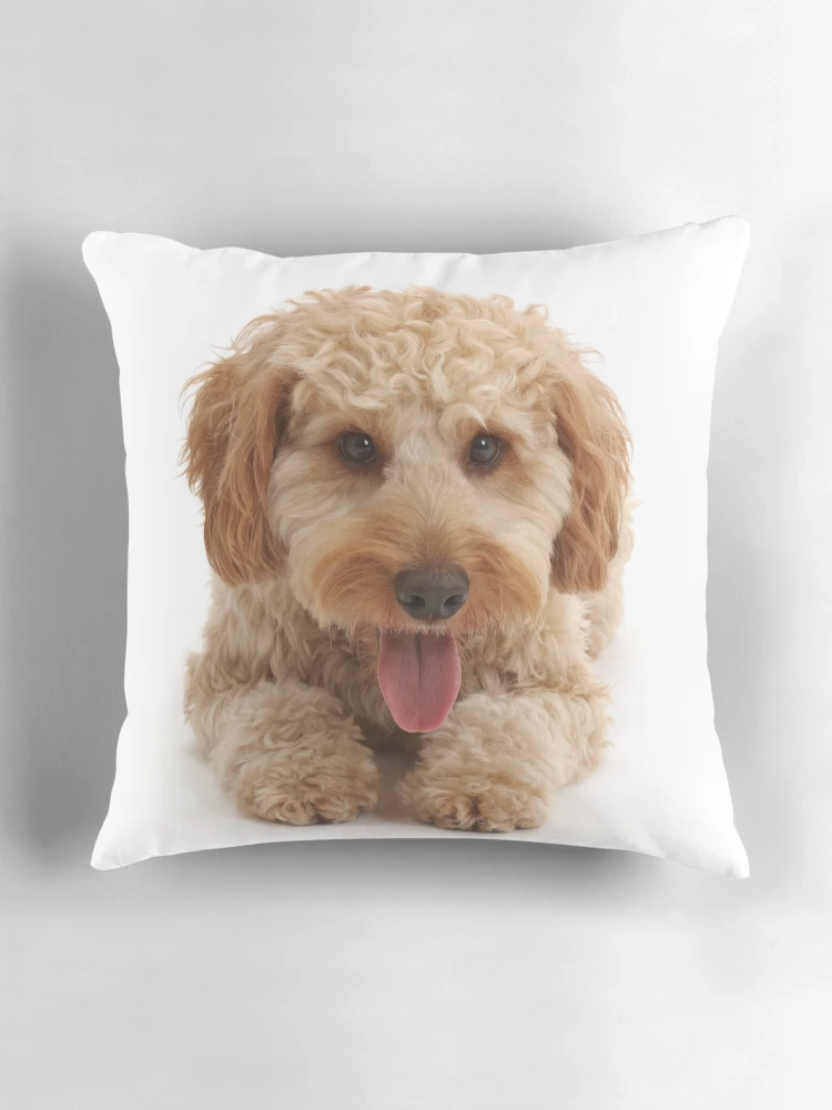 Thumbnail 3 of 4, Pillow, Cockapoo Dog designed and sold by ScienceSource.