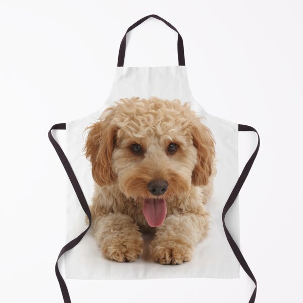 Item preview, Cockapoo Dog designed and sold by ScienceSource.