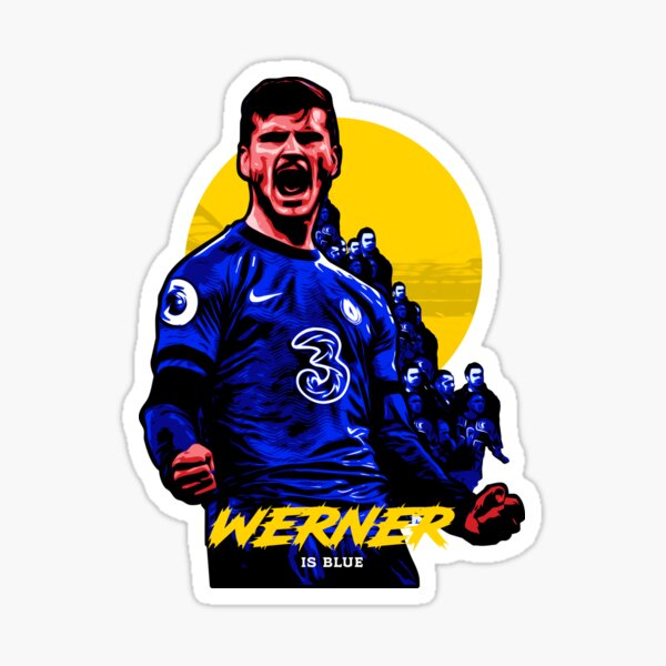Werner Logo Transfer Sticker