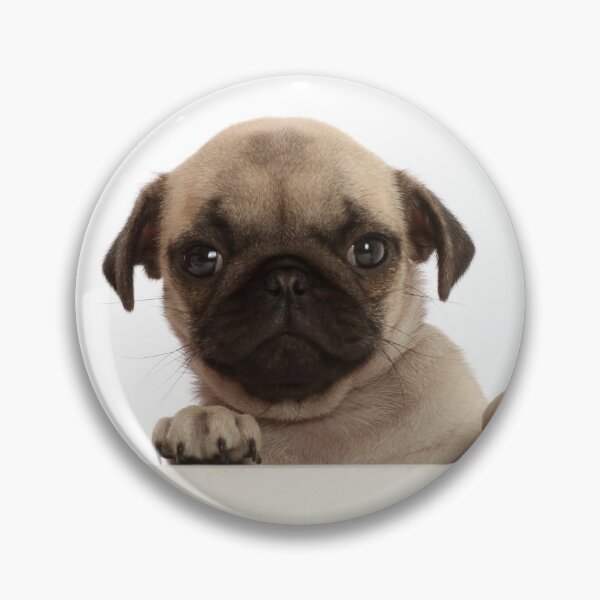 Item preview, Pug Puppy Dog designed and sold by ScienceSource.