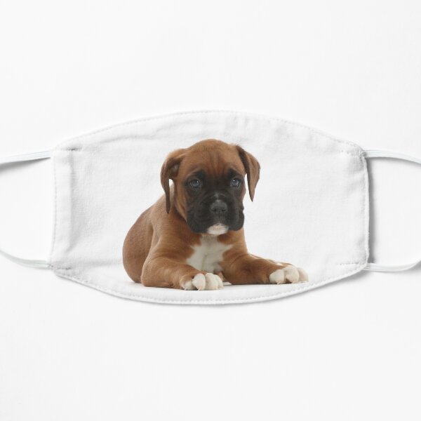 Boxer Puppy Mask