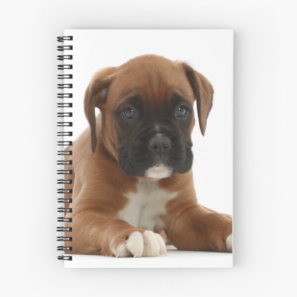 Item preview, Boxer Puppy designed and sold by ScienceSource.