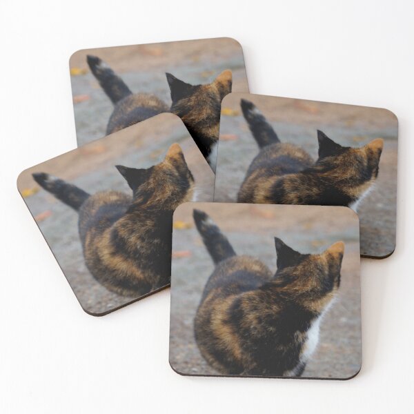 Item preview, Kitty designed and sold by AGODIPhoto.
