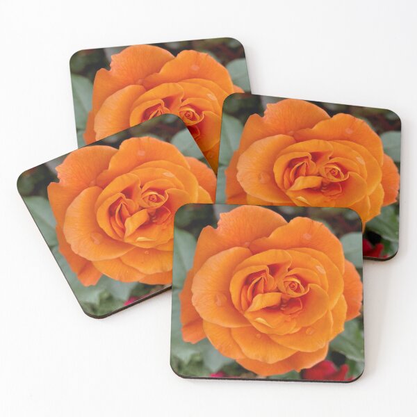 Item preview, Orange rose designed and sold by Tizz07.