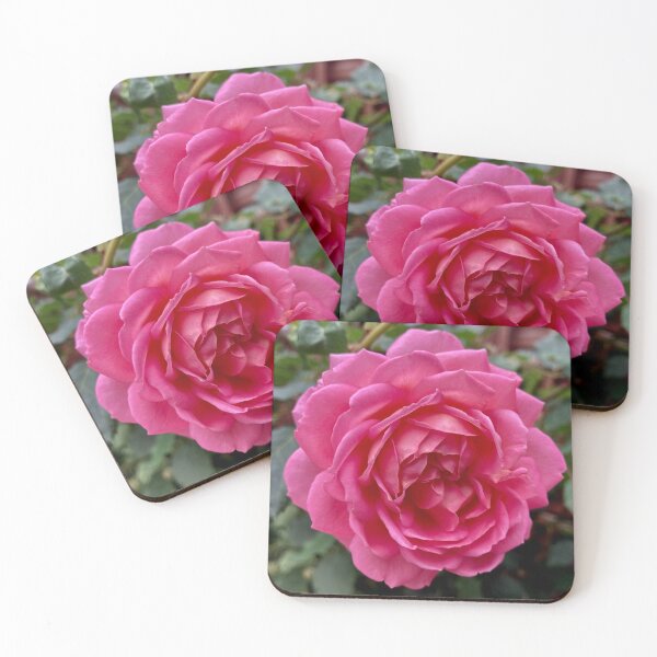 Item preview, Pink rose designed and sold by Tizz07.