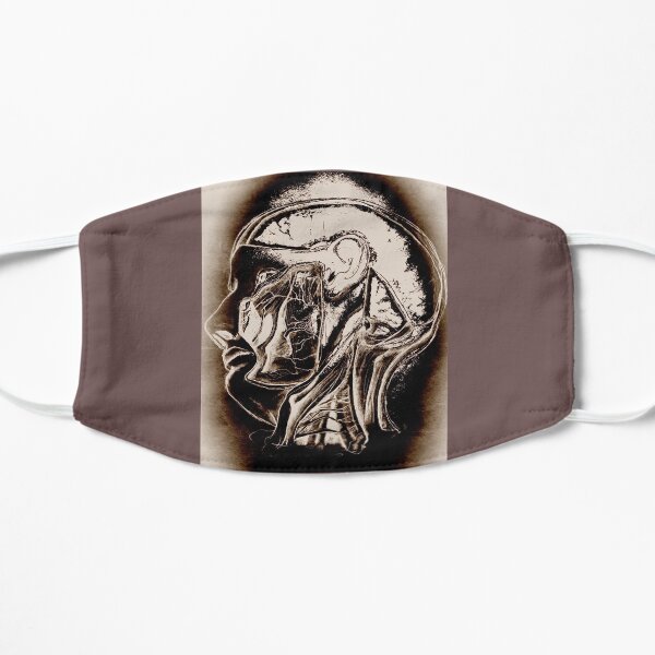 Anatomy of an Idea Flat Mask