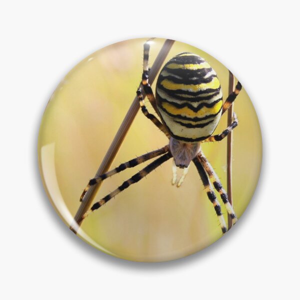 Item preview, Acrobatic Wasp Spider designed and sold by Jo Nijenhuis.