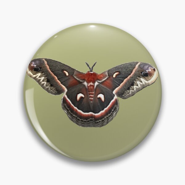 Item preview,  Beautiful Columbia Silk Moth designed and sold by Unboltingcat.