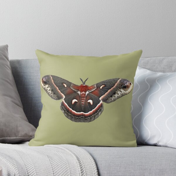 Item preview,  Beautiful Columbia Silk Moth designed and sold by Unboltingcat.