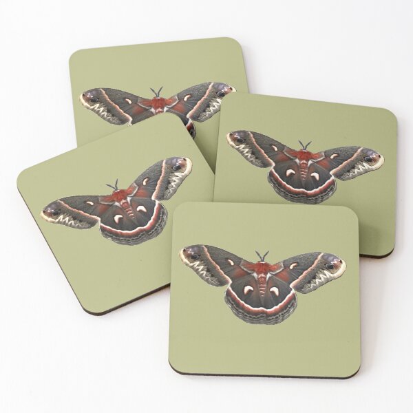 Item preview,  Beautiful Columbia Silk Moth designed and sold by Unboltingcat.