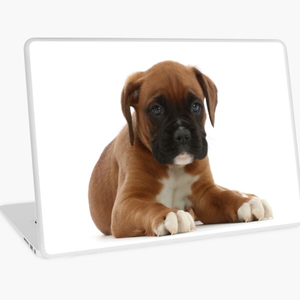 Boxer Puppy Laptop Skin