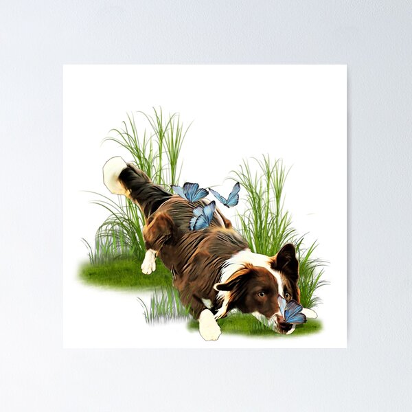 Item preview, Border Collie and Butterfly designed and sold by ProtanDesign.