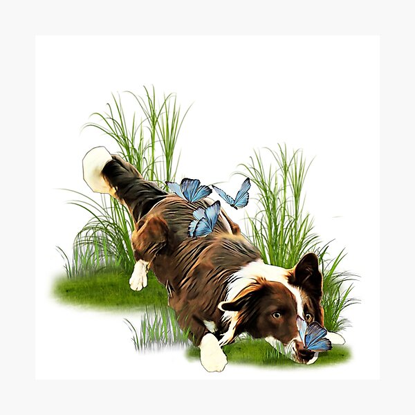 Item preview, Border collie y mariposa designed and sold by ProtanDesign.