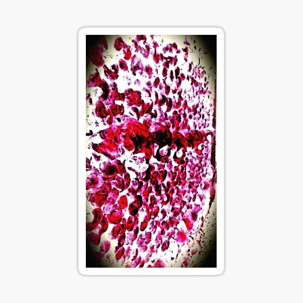 Pink Skulls Sticker