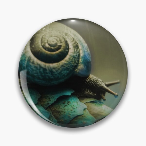 Item preview, snail with a shell on a pine cone designed and sold by ToniStauche.
