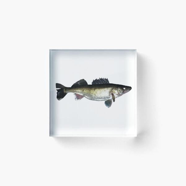 Item preview, Walleye  designed and sold by sd749.