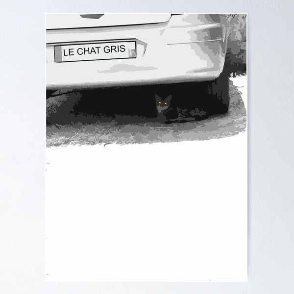 Aperçu de l'œuvre Le Chat Gris - Le Chat Gris Urbain créée et vendue par Agata Kowalczyk.