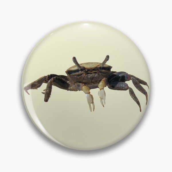 Item preview, Fiddler Crab designed and sold by designsasstultd.